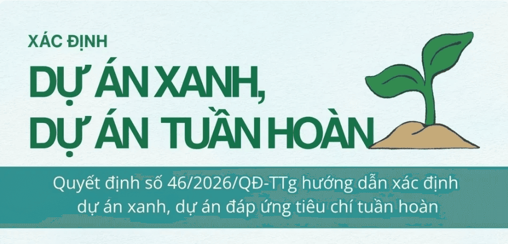 xacs định dự án xanh